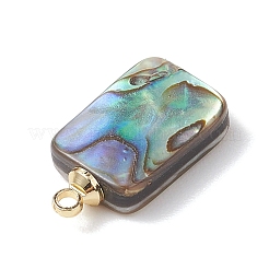Natural Abalone Shell/Paua Shell Pendants&nbsp;PALLOY-JF04876