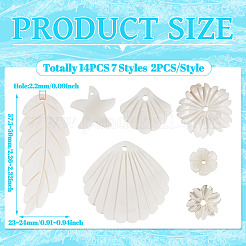 14Pcs 7 Styles Natural Freshwater Shell Pendants&nbsp;SHEL-TA0001-24