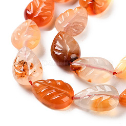 Natural Agate Carved Beads Strands&nbsp;G-H024-B01-01