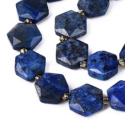 Natural Lapis Lazuli Beads Strands&nbsp;G-N368-01A-05