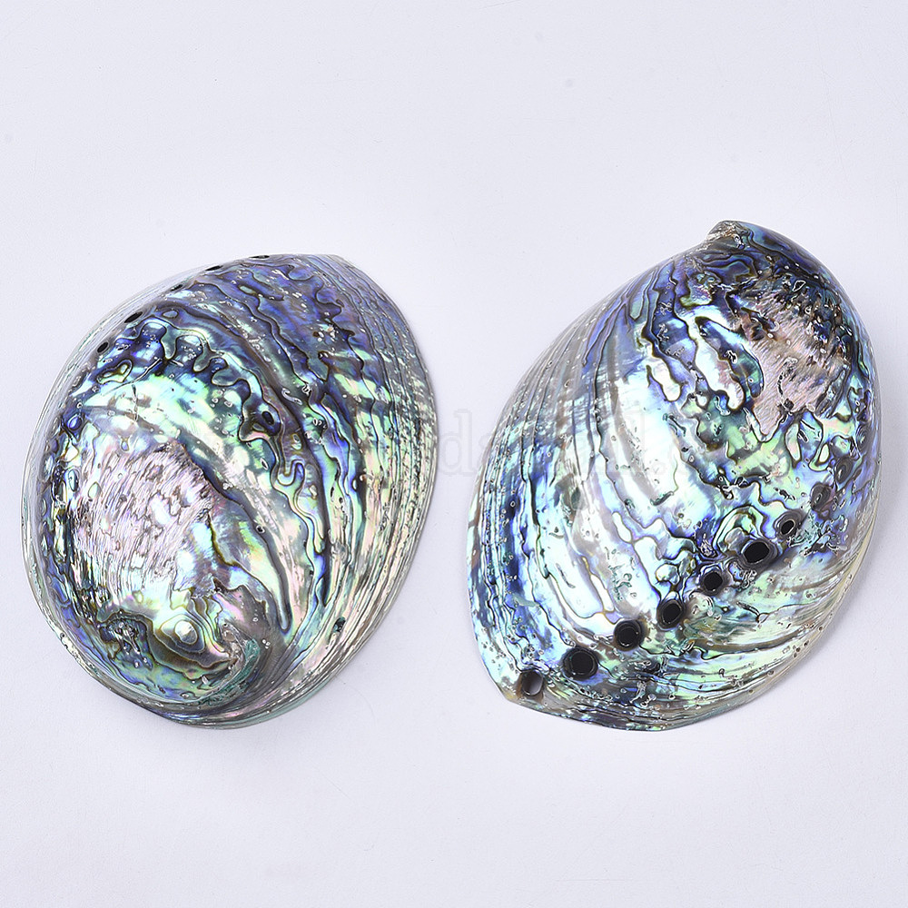 Wholesale Natural Abalone Shell/Paua Shell Display Decoration ...