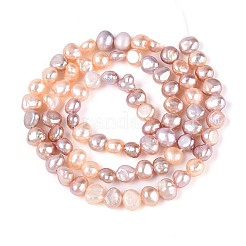 Natural Cultured Freshwater Pearl Beads Strands&nbsp;PEAR-T006-23