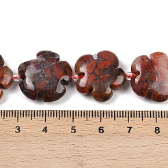 Natural Brecciated Jasper Beads Strands&nbsp;G-C220-E02-20mm