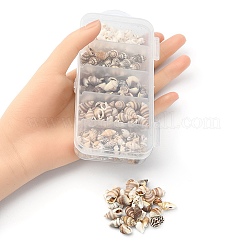 5 Styles Mixed Natural Shell Beads&nbsp;SSHEL-YW0001-03