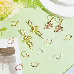 60Pcs 3 Styles 304 Stainless Steel Leverback Earring Findings&nbsp;STAS-BBC0008-30E