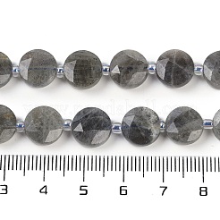 Natural Labradorite Beads Strands&nbsp;G-C116-A46-01