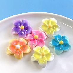 50Pcs 5 Colors Opaque Resin Cabochons&nbsp;FIND-SC0020-81