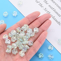 Transparent Acrylic Beads&nbsp;MACR-S373-06-C06