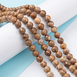Natural Maifanite/Maifan Stone Beads Strands&nbsp;G-P451-01A-C