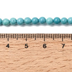 Dyed Natural Magnesite Beads Strands&nbsp;G-A323-A01-4mm