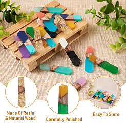 18Pcs 9 Styles Resin & Walnut Wood Pendants&nbsp;RESI-BT0001-25