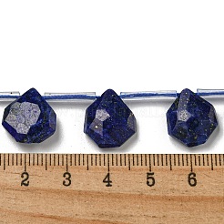 Natural Lapis Lazuli Beads Strands&nbsp;G-P544-C10-01
