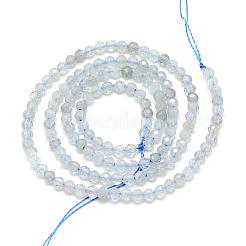 Natural Labradorite Beads Strands&nbsp;G-S152-09-2mm