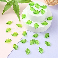 Transparent Acrylic Pendants&nbsp;TACR-YW0001-63