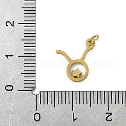 316L Surgical Stainless Steel Pendants&nbsp;STAS-U058-01G-02