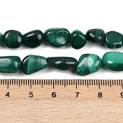 Natural Malachite Beads Strands&nbsp;G-L493-42A