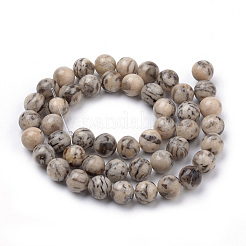 Natural Feldspar Beads Strands&nbsp;X-G-S259-26-8mm