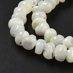 Natural Trochus Shell Beads Strands&nbsp;BSHE-G039-01B