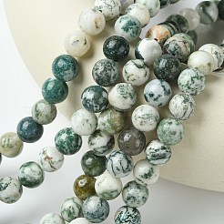 Natural Tree Agate Round Gemstone Beads Strands&nbsp;G-R255-10mm