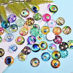 70Pcs Flatback Glass Cabochons for DIY Projects&nbsp;GGLA-SZ0001-33C