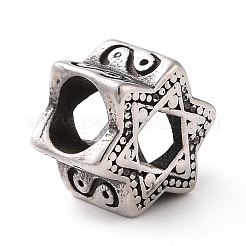 304 Stainless Steel European Beads&nbsp;STAS-M301-41AS