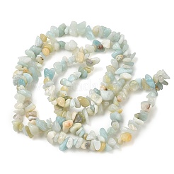 Natural Flower Amazonite Chips Beads Strands&nbsp;G-M205-12B