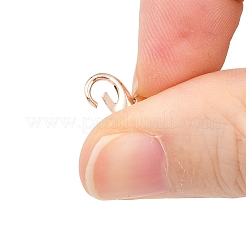 Zinc Alloy Lobster Claw Clasps&nbsp;E102-RG