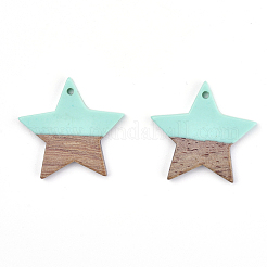 Resin & Wood Pendants&nbsp;LS-X-RESI-T023-23C