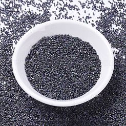MIYUKI Delica Beads&nbsp;SEED-JP0008-DB1053
