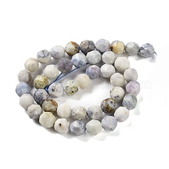 Natural Sodalite Beads Strands&nbsp;G-NH0021-A25-02