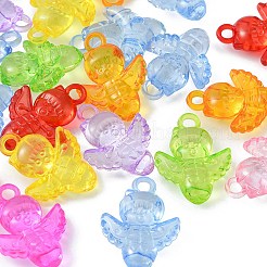 50g Transparent Acrylic Pendants&nbsp;TACR-YW0001-69