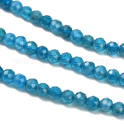 Natural Apatite Beads Strands&nbsp;G-Z106-A01-3mm
