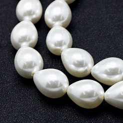 Electroplate Shell Pearl Beads Strands&nbsp;BSHE-G006-07D
