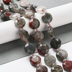 Natural African Bloodstone Beads Strands&nbsp;G-NH0004-040