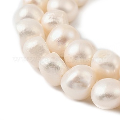 Natural Cultured Freshwater Pearl Beads Strands&nbsp;PEAR-P064-19L-05B