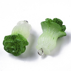 Resin Pendants&nbsp;X-RESI-R426-05A