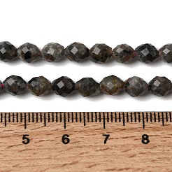Natural Syenite Beads Strands&nbsp;G-K376-F09-01