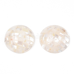 Natural White Shell Beads&nbsp;SHEL-F007-16B