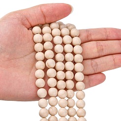 Natural Fossil Beads Strands&nbsp;X-G-E110-8mm-2