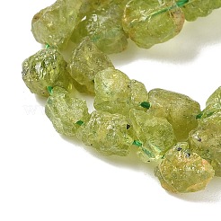 Raw Rough Natural Peridot Beads Strands&nbsp;G-M453-D12