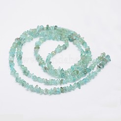 Chips Natural Apatite Beads Strands&nbsp;G-N0164-44