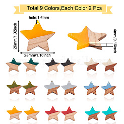 18Pcs 9 Colors Resin & Walnut Wood Pendants&nbsp;RESI-BT0001-08