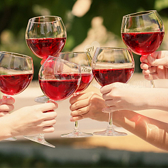 3 Sets Acrylic Wine Glass Charms&nbsp;AJEW-HY0001-91B