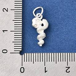 925 Sterling Silver Pendants&nbsp;STER-F059-08S