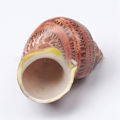 Hermit Crab Shells&nbsp;SSHEL-WH0001-15A