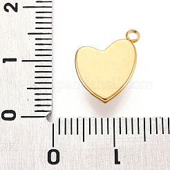 304 Stainless Steel Charms&nbsp;STAS-N110-23G