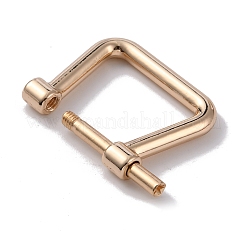 Alloy D-Rings with Screw Shackle&nbsp;FIND-WH0010-30