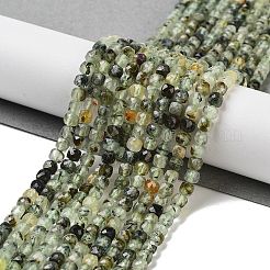 Natural Prehnite Beads Strands&nbsp;G-B088-E16-04