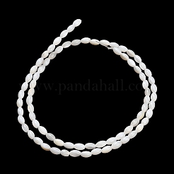 Natural Freshwater Shell Beads Strands&nbsp;SHEL-C010-03B