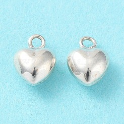 925 Sterling Silver Charms&nbsp;X-STER-H106-01C-S
